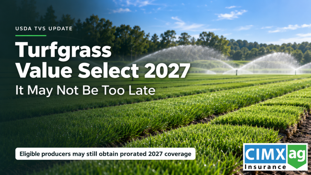 Irrigated turfgrass field representing USDA Turfgrass Value Select coverage for 2027